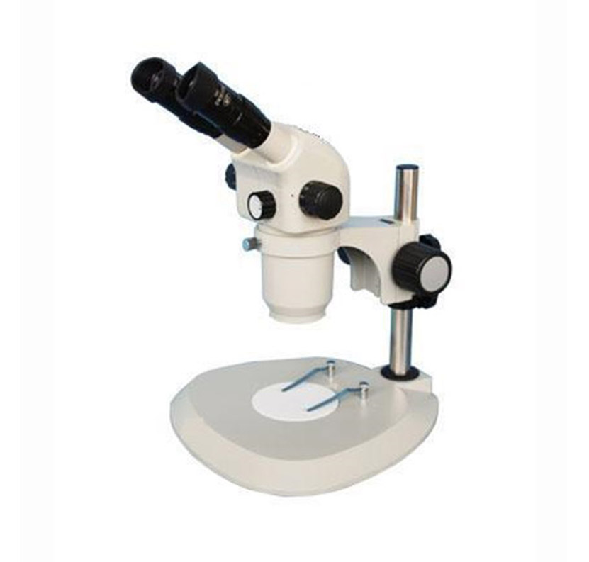雙眼實體顯微鏡